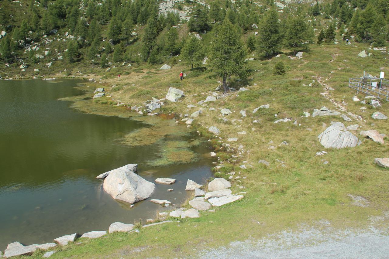 Rifugio Viviani Pradalago Hotel Madonna Buitenkant foto