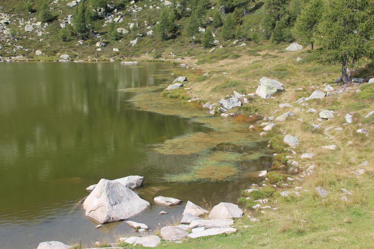 Rifugio Viviani Pradalago Madonna Buitenkant foto