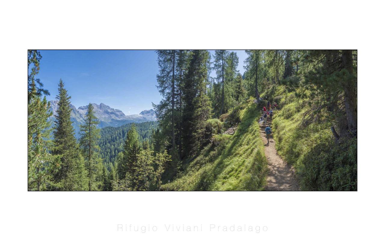 Rifugio Viviani Pradalago Madonna Buitenkant foto