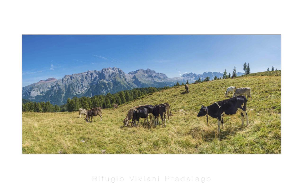 Rifugio Viviani Pradalago Hotel Madonna Buitenkant foto
